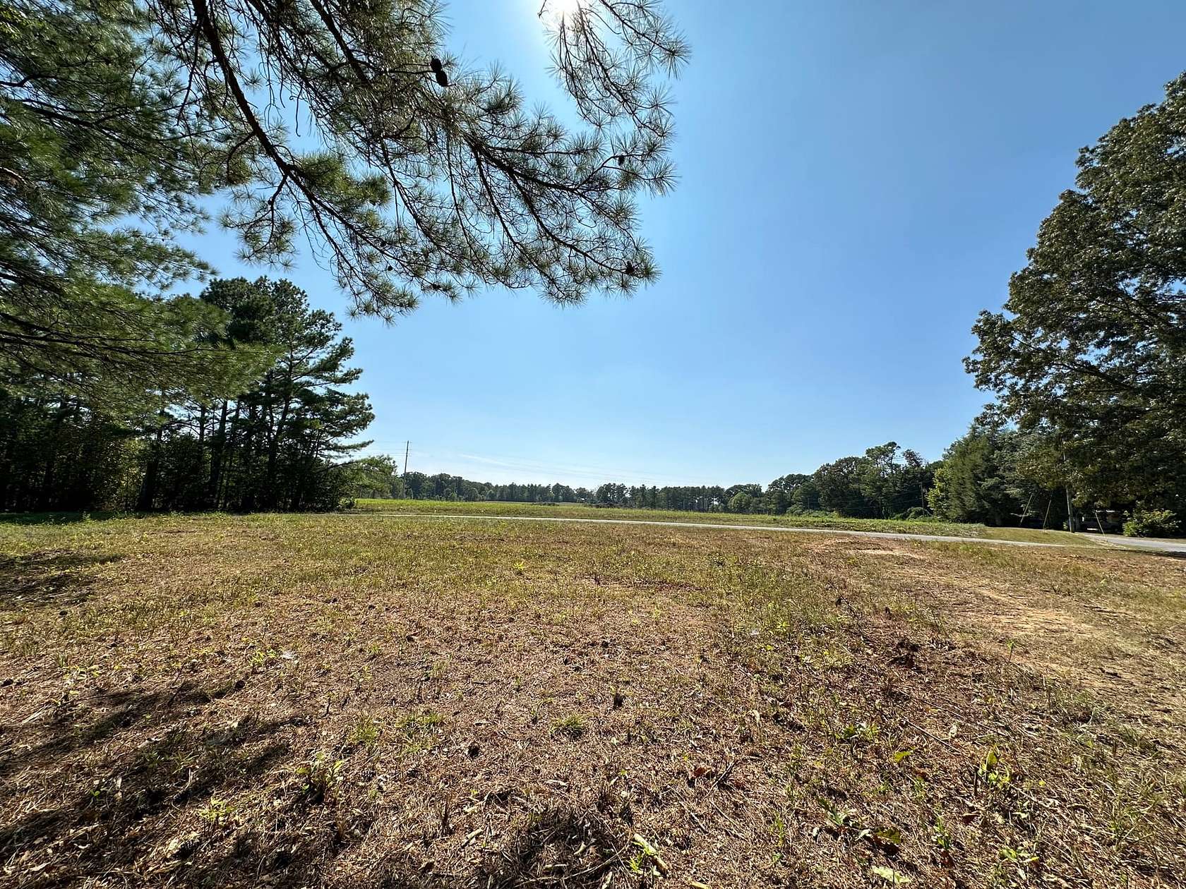 64 Acres of Land for Sale in Haleyville, Alabama