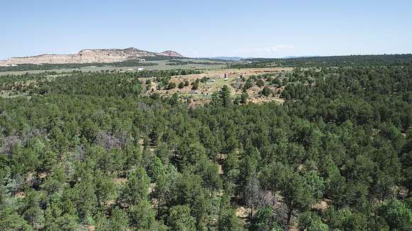 50.5 Acres of Recreational Land & Farm for Sale in Regina, New Mexico