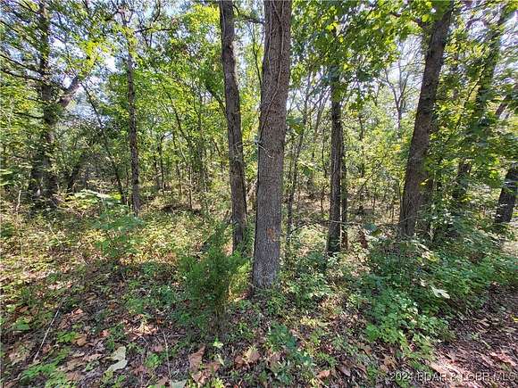 10 Acres of Residential Land for Sale in Edwards, Missouri