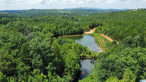 14.64 Acres of Recreational Land for Sale in Piedmont, Alabama