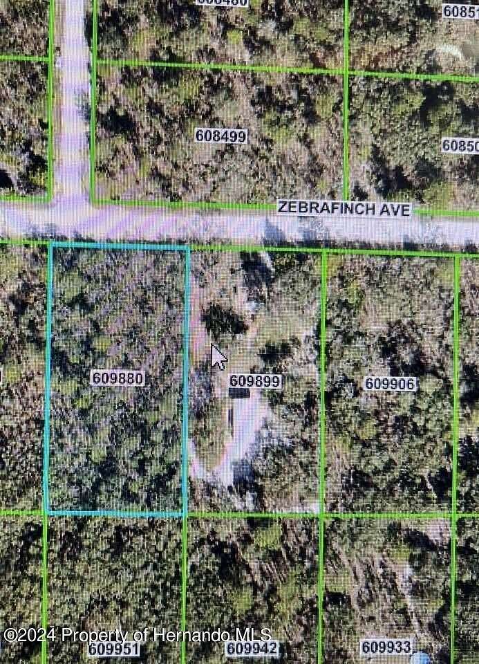 1.2 Acres of Residential Land for Sale in Brooksville, Florida