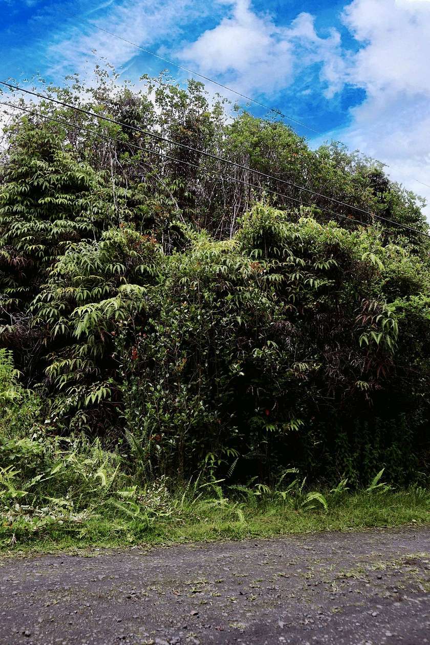 0.192 Acres of Residential Land for Sale in Mountain View, Hawaii