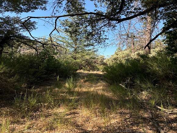 9.96 Acres of Residential Land for Sale in Greenwood, California