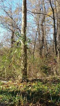 1 Acre of Residential Land for Sale in St. Clairsville, Ohio