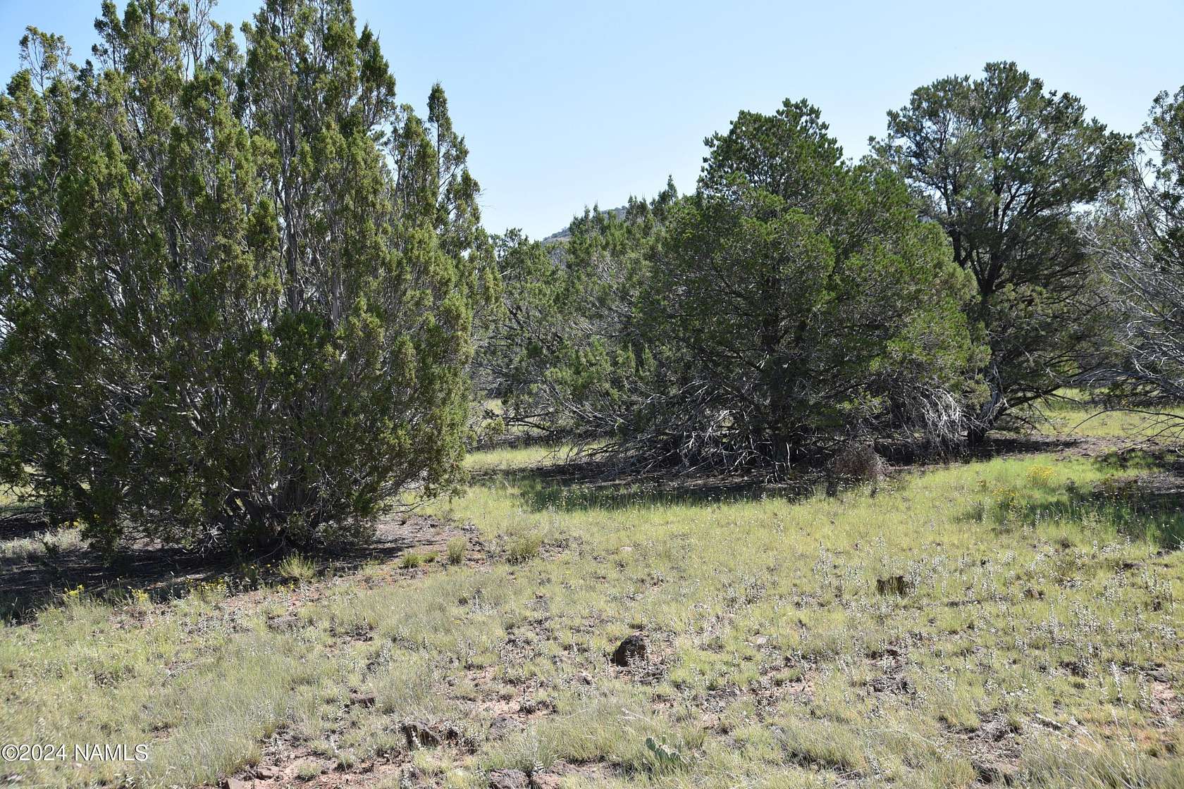 1.1 Acres of Residential Land for Sale in Williams, Arizona