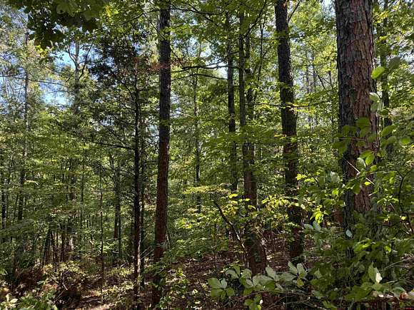 0.8 Acres of Land for Sale in Yellville, Arkansas