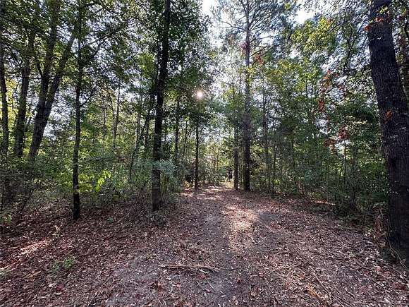 10.13 Acres of Recreational Land for Sale in Gilmer, Texas