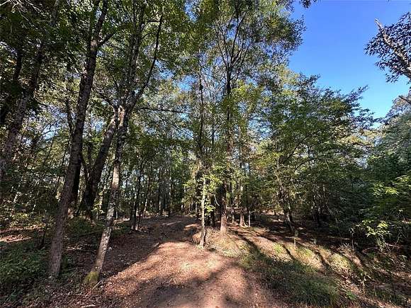 10.13 Acres of Recreational Land for Sale in Gilmer, Texas