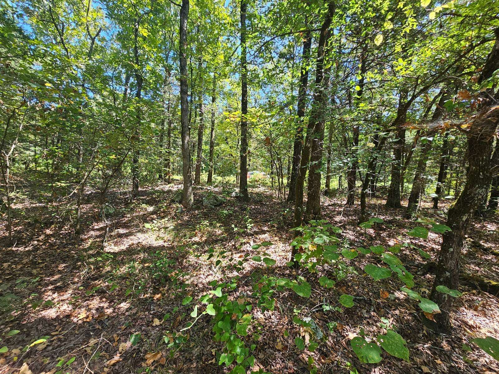 22.66 Acres of Recreational Land for Sale in Red Oak, Oklahoma