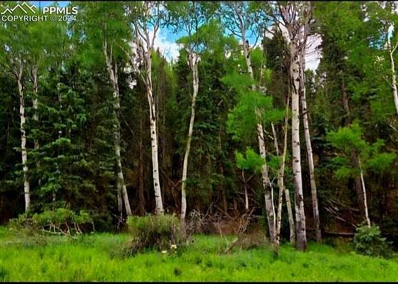 0.57 Acres of Land for Sale in Florissant, Colorado