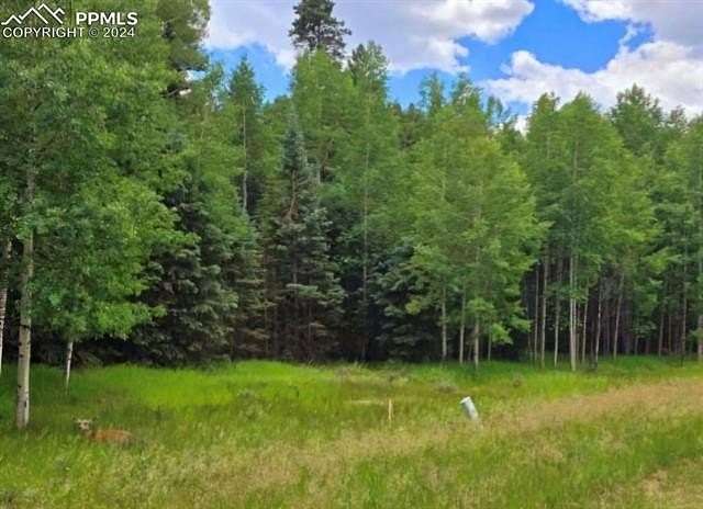 0.56 Acres of Land for Sale in Florissant, Colorado