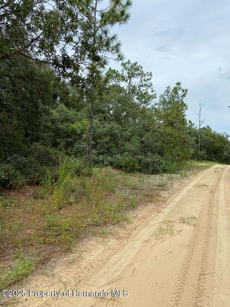 0.23 Acres of Land for Sale in Inverness, Florida