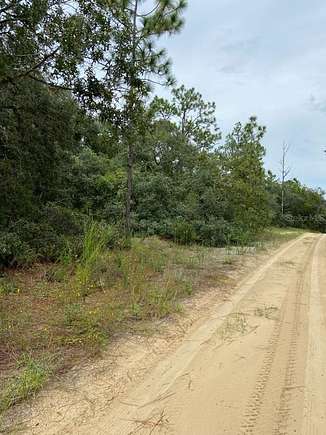 0.23 Acres of Residential Land for Sale in Inverness, Florida