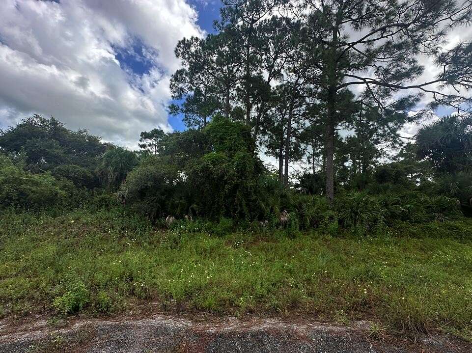 0.438 Acres of Residential Land for Sale in LaBelle, Florida