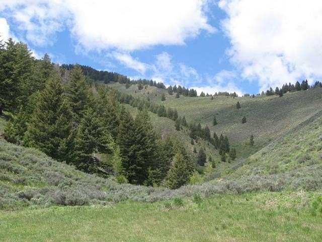 56 Acres of Agricultural Land for Sale in Ketchum, Idaho