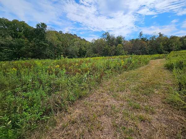 90.2 Acres of Recreational Land & Farm for Sale in Buffalo Valley, Tennessee