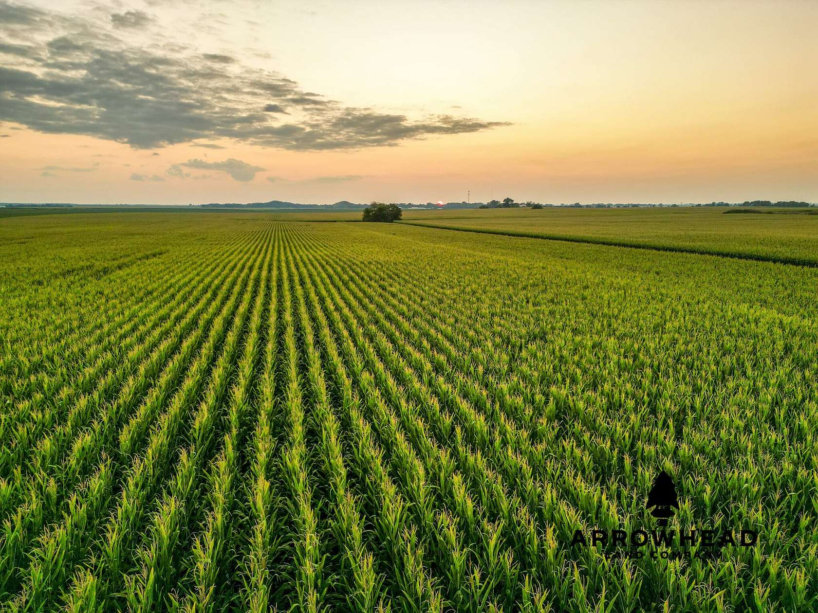 80 Acres of Agricultural Land for Auction in Toluca, Illinois