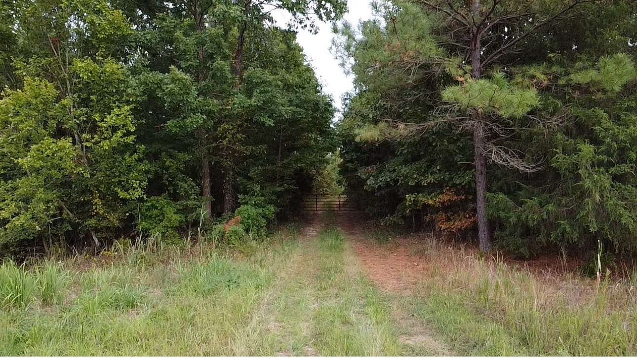 40.34 Acres of Land for Sale in Cedar Grove, Tennessee