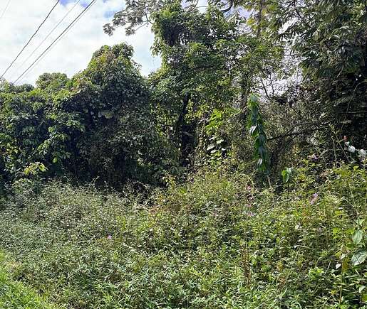 0.185 Acres of Residential Land for Sale in Pahoa, Hawaii