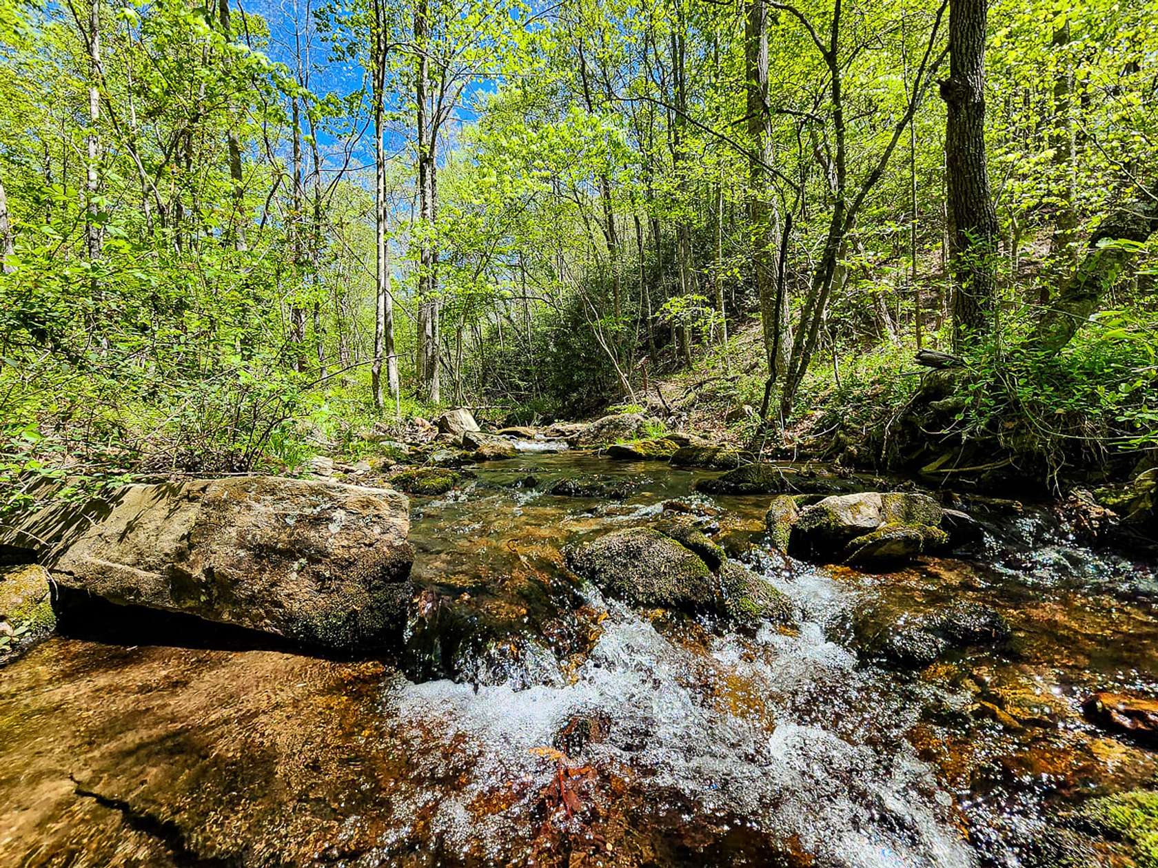 585 Acres of Recreational Land for Sale in Stuart, Virginia