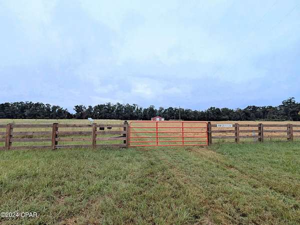 36.7 Acres of Agricultural Land for Sale in Greenwood, Florida