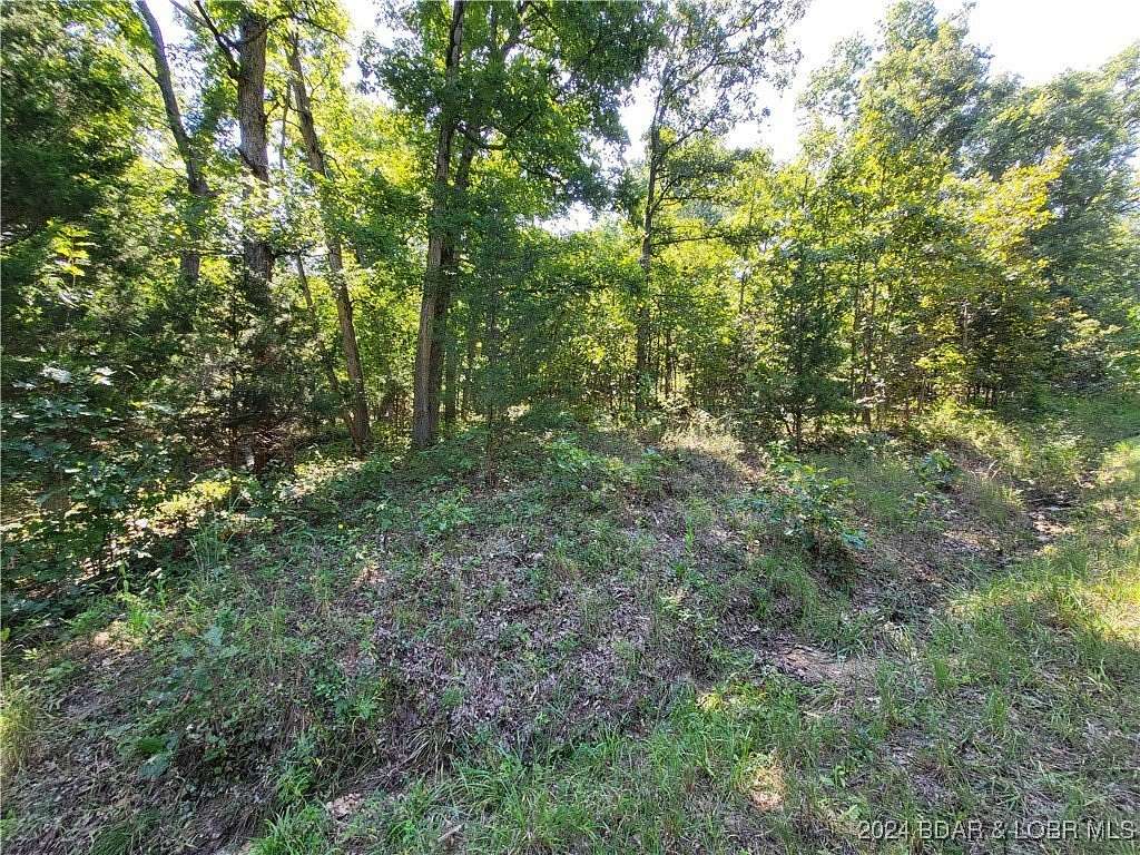 25 Acres of Land for Sale in Edwards, Missouri