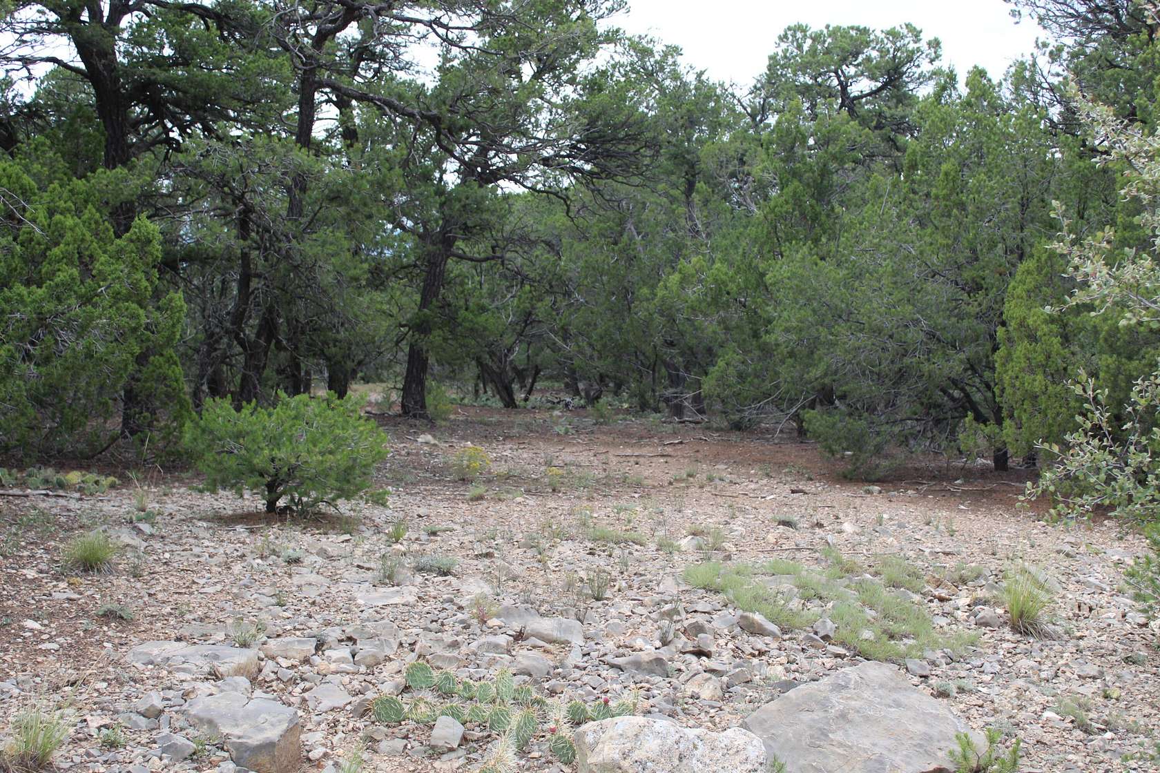 0.99 Acres of Land for Sale in Tijeras, New Mexico