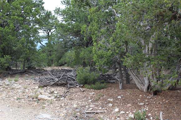 1.01 Acres of Land for Sale in Tijeras, New Mexico