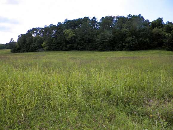 11.41 Acres of Agricultural Land for Sale in Sevierville, Tennessee