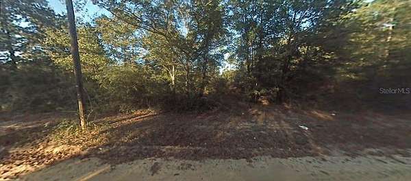 0.48 Acres of Residential Land for Sale in Fountain, Florida