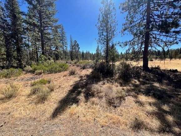 1.24 Acres of Residential Land for Sale in Lookout, California