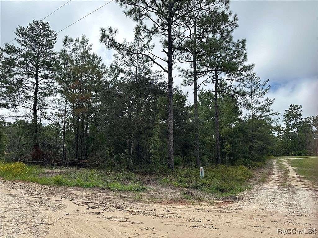 1 Acre of Land for Sale in Dunnellon, Florida