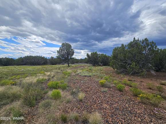 1.15 Acres of Residential Land for Sale in Vernon, Arizona