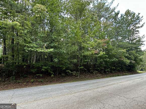 0.3 Acres of Residential Land for Sale in Villa Rica, Georgia