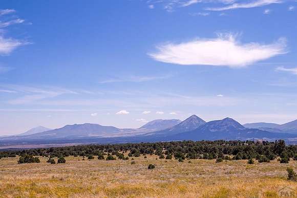 45.004 Acres of Recreational Land for Sale in Gardner, Colorado