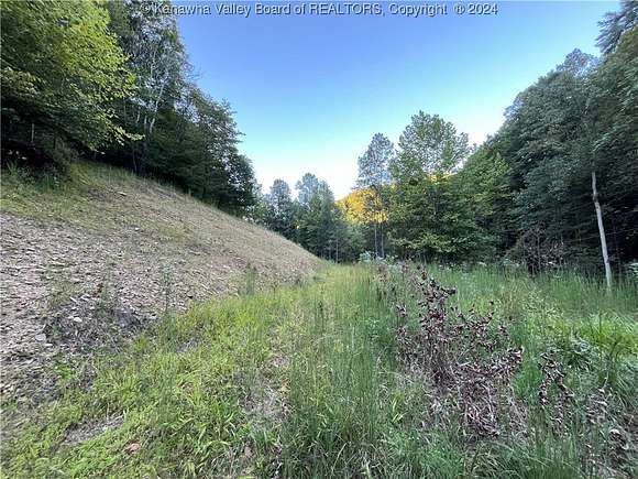 8.52 Acres of Land for Sale in Danville, West Virginia