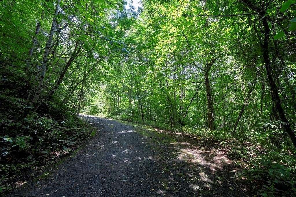 Land for Sale in Robbinsville, North Carolina