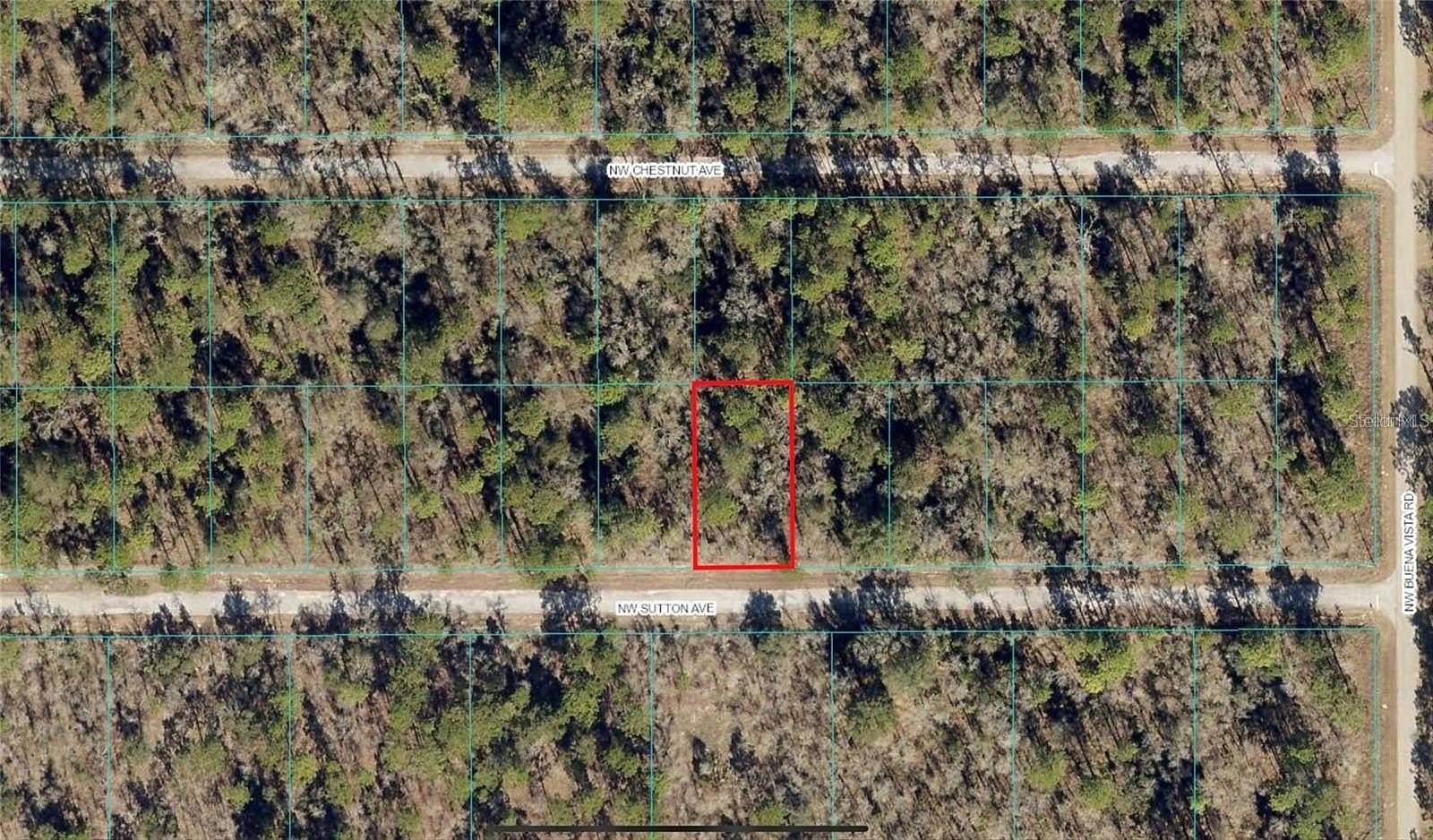 0.24 Acres of Residential Land for Sale in Dunnellon, Florida