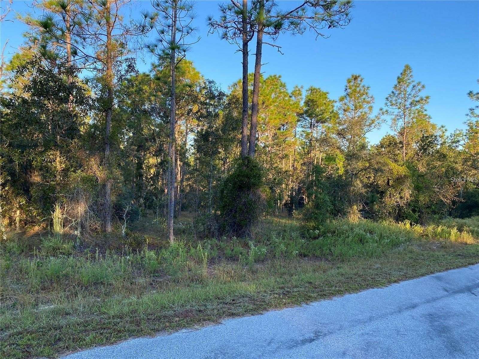 0.99 Acres of Residential Land for Sale in Dunnellon, Florida