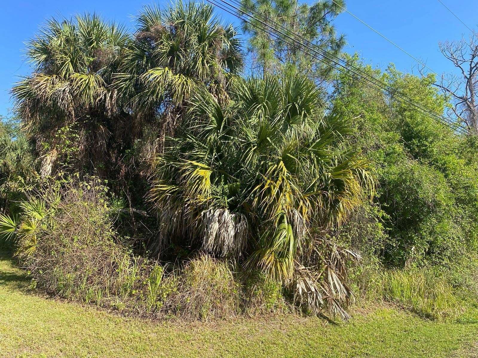 0.24 Acres of Residential Land for Sale in North Port, Florida