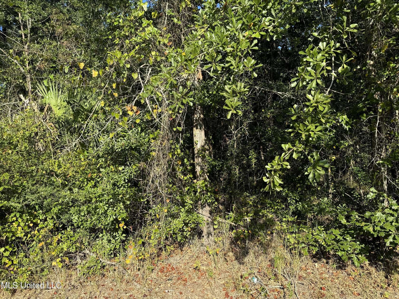 0.13 Acres of Residential Land for Sale in Bay St. Louis, Mississippi