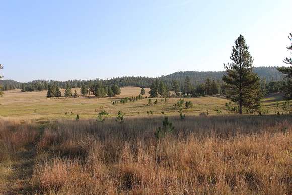 92.89 Acres of Land for Sale in Custer, South Dakota