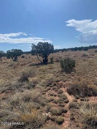 6.24 Acres of Land for Sale in Williams, Arizona