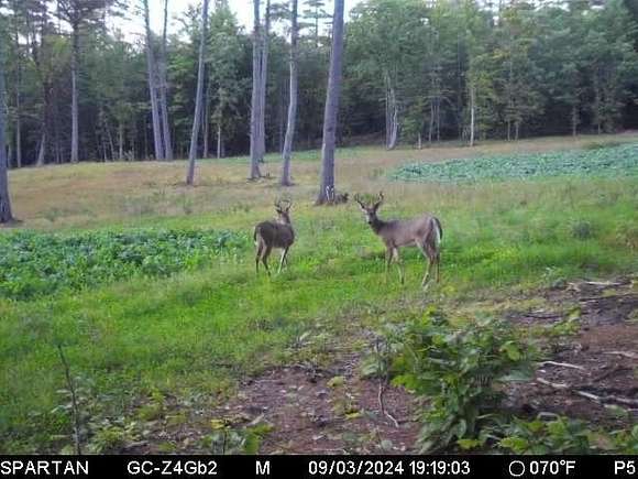 64.1 Acres of Recreational Land for Sale in Sanbornton, New Hampshire