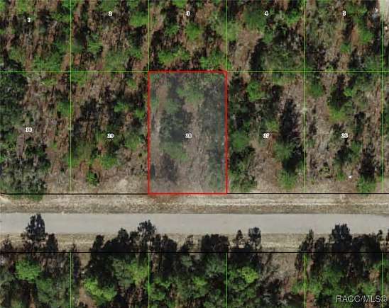 0.23 Acres of Land for Sale in Citrus Springs, Florida