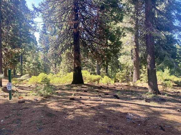 0.22 Acres of Residential Land for Sale in Lake Almanor Peninsula, California