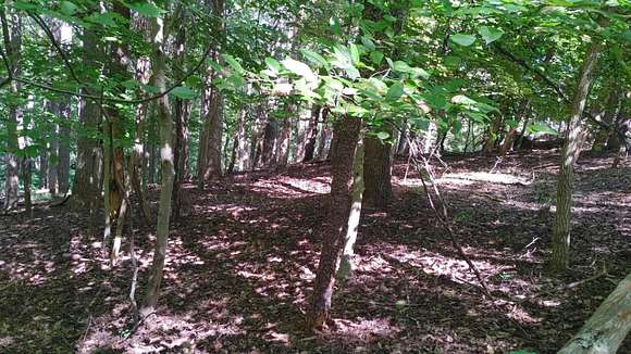 0.61 Acres of Land for Sale in Moneta, Virginia