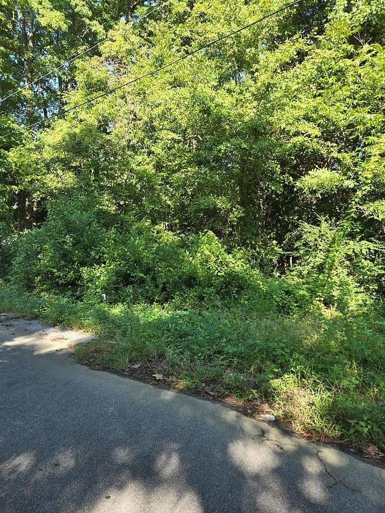 0.35 Acres of Land for Sale in Orangeburg, South Carolina