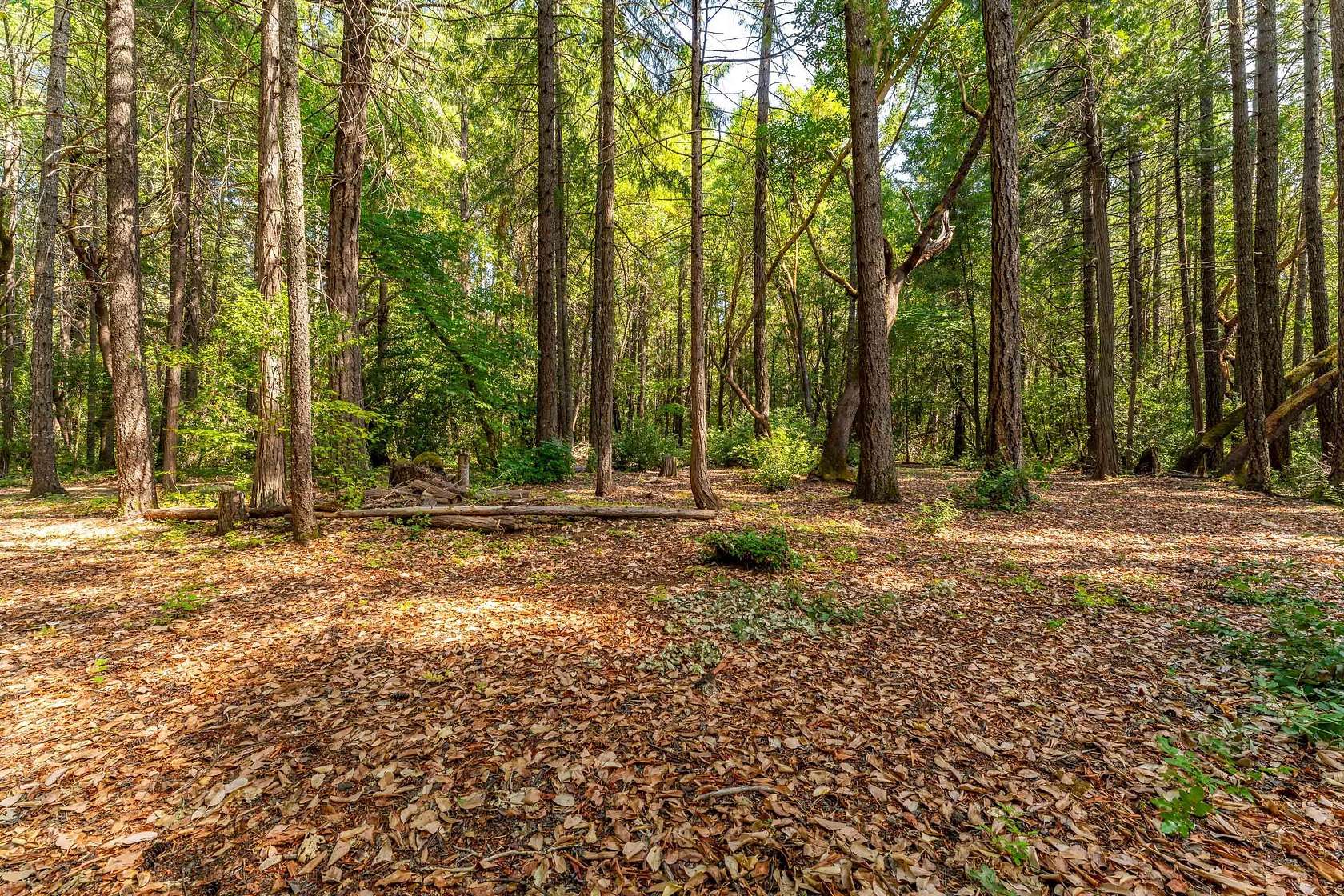 5.02 Acres of Land for Sale in Cave Junction, Oregon