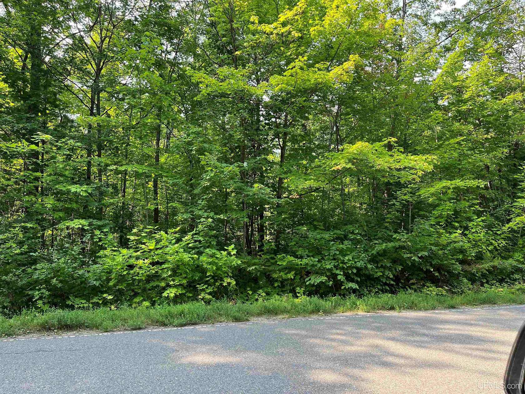 72 Acres of Recreational Land for Sale in Skandia, Michigan